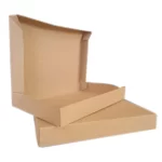 CAJA 21X15X3CM (KRAFT)