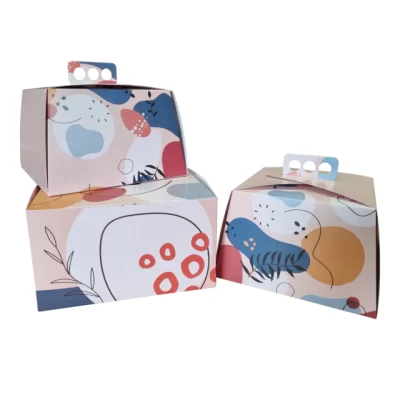 CAJA 25X25X15CM