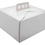 CAJA 28X28X10CM