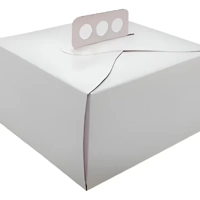 CAJA 28X28X10CM