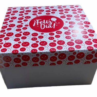 CAJA N°21 - 23X23X12 EXPLOSIVA IMPRESA