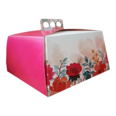 CAJA 25X25X15CM