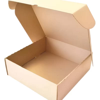 CAJAS CORRUG. 12 EMPANADAS 28X28X6.5