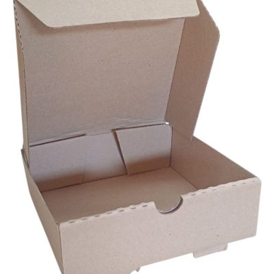 CAJAS CORRUG.18 EMPANADAS 30X24.5X6