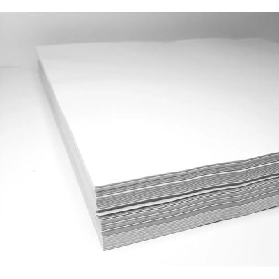 FONDO DE PIZZA XKILO