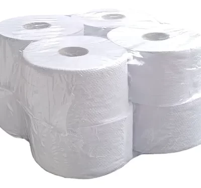 PAPEL HIGIENICO X300 ECO