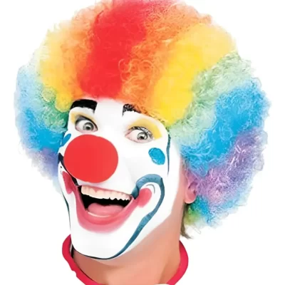 PELUCA PAYASO COLORES