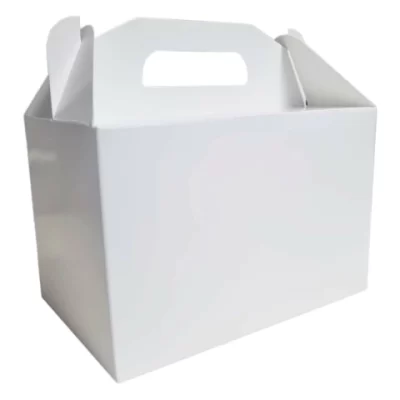MALETIN 18X12X12CM.